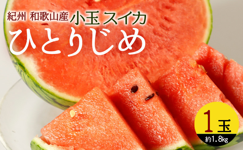 
                  【2027年先行予約】紀州 和歌山産 小玉 スイカ 「ひとりじめ」 1玉 【すいか スイカ 西瓜 小玉】_G7076
                