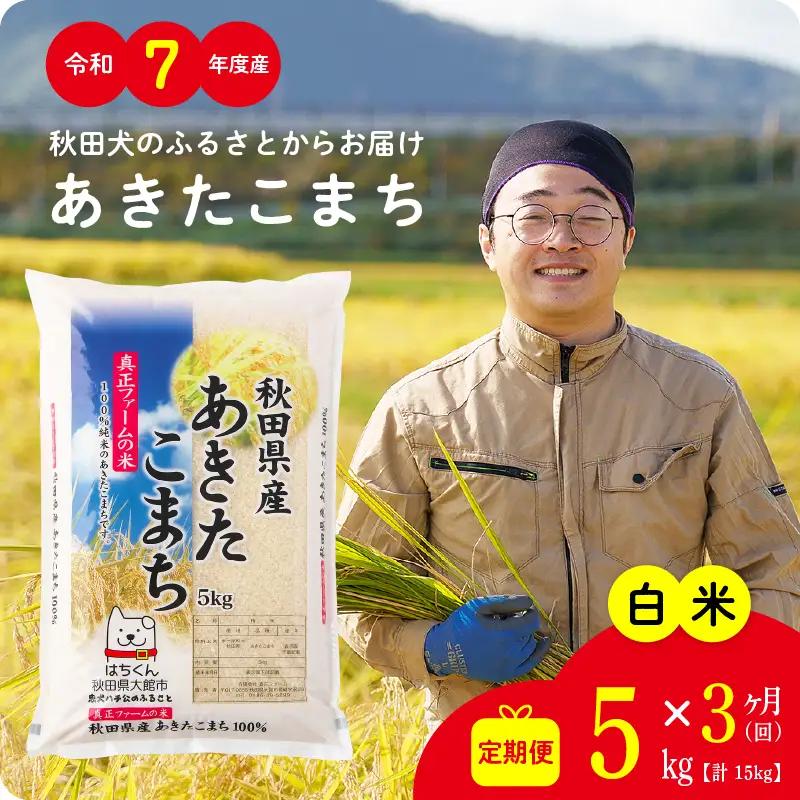 《令和7年産》【3ヶ月5kg定期便】白米 あきたこまち 精米 ブランド米 定期便【真正ファーム】