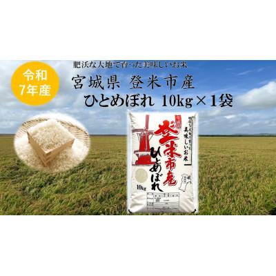 ふるさと納税 登米市 【精米】令和7年宮城県登米市産「ひとめぼれ」10kg×1袋