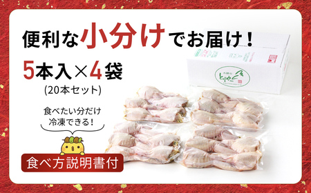 手羽先餃子 手羽 餃子 20本セット 水郷のとりやさん STS001_X1