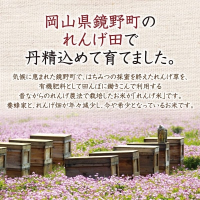 岡山県産　れんげ米(5kg入)(26552)
