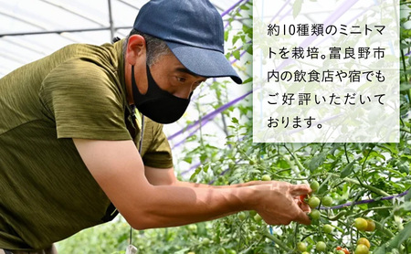 北海道 富良野市産 完熟ミニトマト（キャロル10）約1kg トマト 甘い 野菜 新鮮 数量限定 先着順 【藏ファーム】