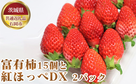 No.646 【先行予約】富有柿15個と 紅ほっぺDX 2パック【茨城県共通返礼品 石岡市】