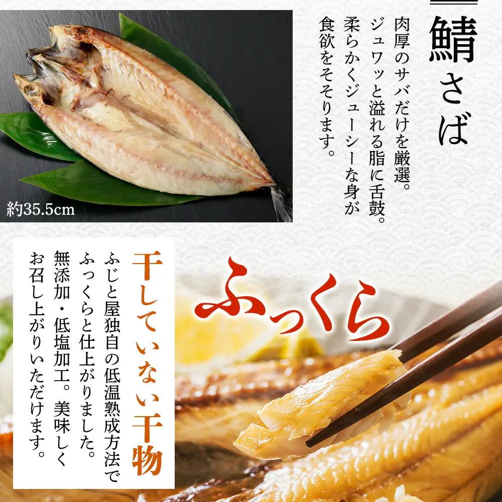 ふっくらやわらか 干物 5点セット 真ホッケ サンマ カレイ ニシン サバ 秋刀魚 宗八鰈 鰊 鯖 海鮮 ほっけ 送料無料 北海道 弟子屈町 2522