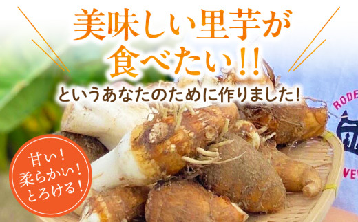 【定期便3ヶ月】里芋『とろまろ』土付き 4.5kg・H139