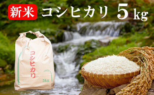 【ふるさと納税】【数量限定】【山梨県産】《新米》コシヒカリ 5kg　こしひかり お米 米 精米 色彩選別 ライス 山梨 やまなし 富士川町 年末