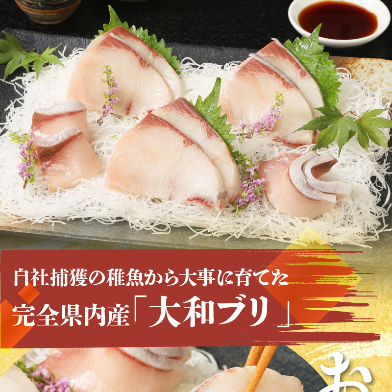大和ブリの切り身　６ヶ月定期便 N072-YE132