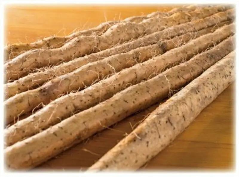 自然薯の味をお楽しみください。自然薯生とろろ100ｇ×30ｐセット【とろろ 極上とろろ 山芋 お家用 家庭用 国産 セット商品 自然薯 神奈川県 小田原市 とろろ】