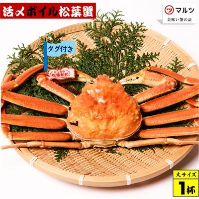 ふるさと納税 米子市 活〆ボイル松葉蟹(大) 800g以上×1杯 【タグ付き】