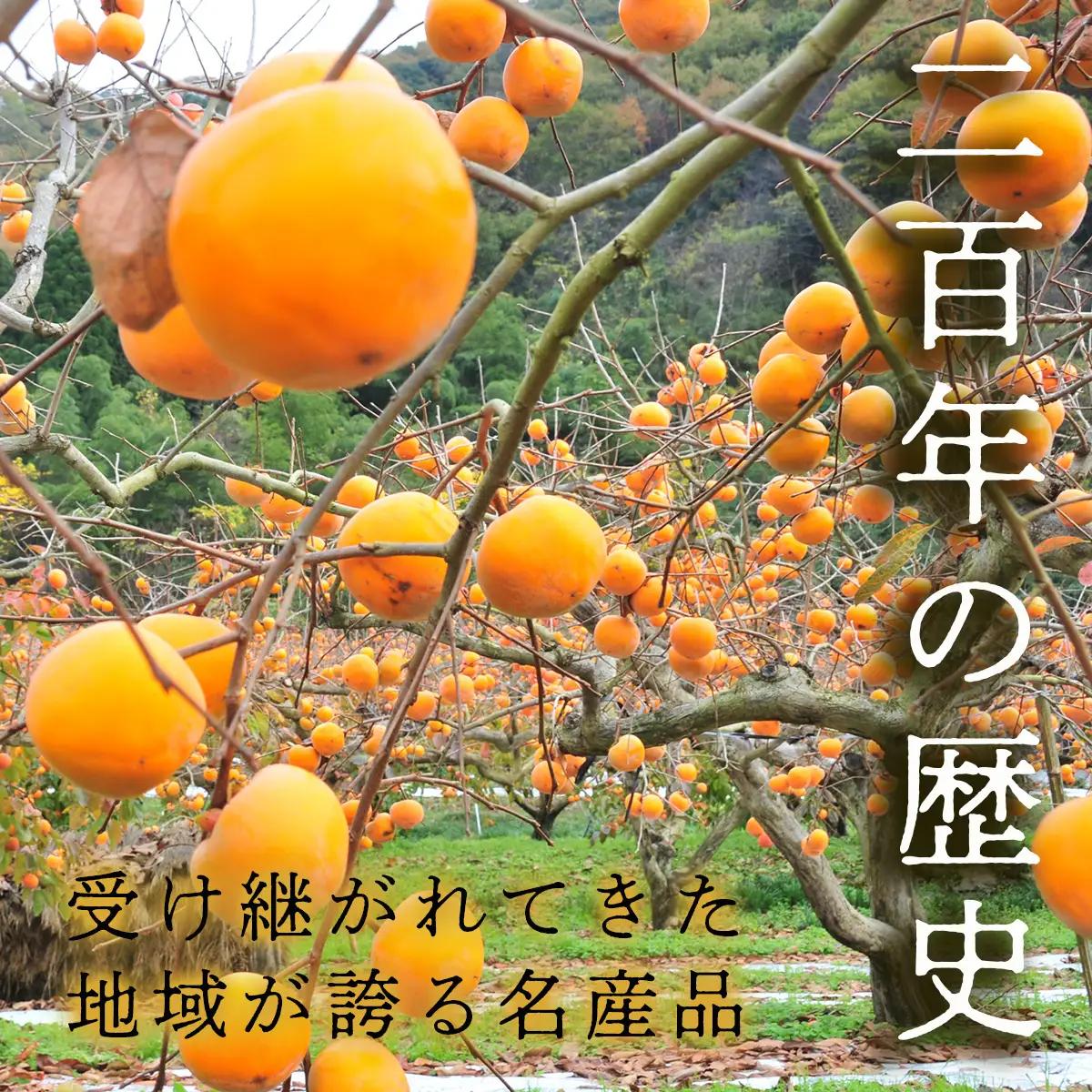 Y090 八頭町特産 花御所柿