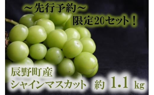 407 先行予約【ご家庭用】シャインマスカット 約1.1ｋｇ 2～3房 ※9月～10月発送予定　農家直送
