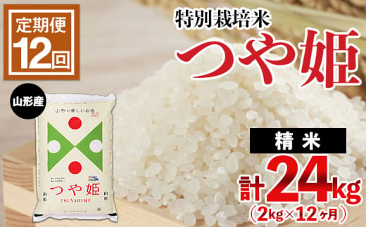 12ヶ月定期便 山形産特別栽培米 つや姫 2kg×12ヶ月(計24kg)