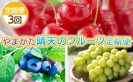 【定期便3回】やまがた 晴天のフルーツ定期便 【令和8年産先行予約】FS25-702 くだもの 果物 フルーツ 山形 山形県 山形市 2026年産