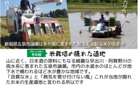 【令和6年産新米】〈3回定期便〉「わくわく農場」の五泉産 精米 コシヒカリ 15kg(5kg×3袋)［2024年10月中旬以降順次発送］ わくわく農場