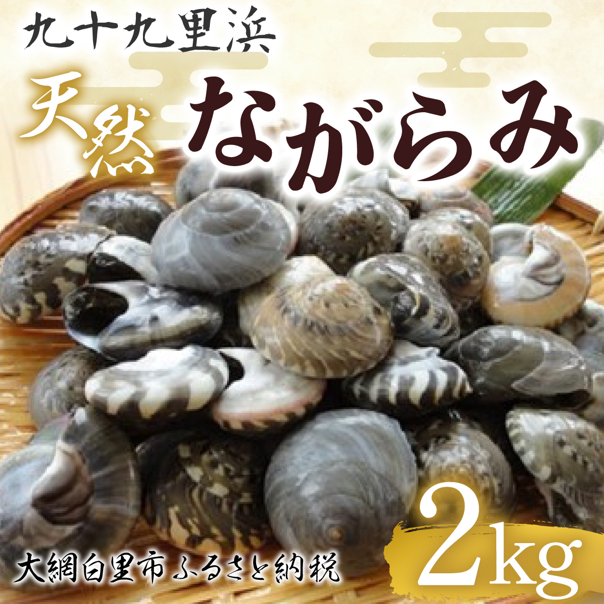 九十九里浜　天然ながらみ　2kg【名産】 P006