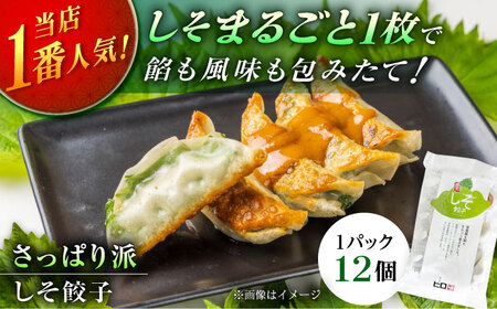 【さっぱり！しそ＆しょうが派×3パック】選べる餃子2種セット！【餃子屋ヒロ】開成町 餃子&nbsp;点心 惣菜 冷凍[BDAS008-6]
