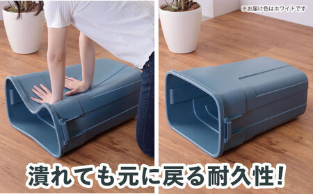 トラッシュカン ゴミ箱 ふた付き 50L ホワイト 1個 / ダストボックス ゴミ箱 ごみ箱 / 恵那市 / 東谷株式会社 明智流通センター [AUAD072]