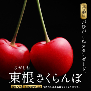 【2025年産　先行予約】真の桜桃 佐藤錦 超特秀 1kg 山形県 東根市　hi004-hi062-032-1 令和7年産 ふるさと納税 さくらんぼ サクランボ フルーツ 果物 くだもの 期間限定 冷