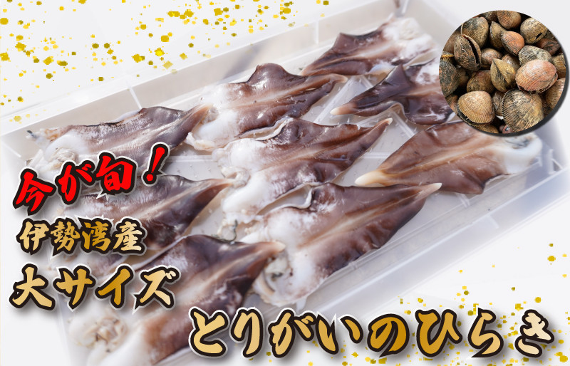 
            ★レビューキャンペーン対象★【期間限定】とりがいのひらき 旬 おすすめ 大サイズ とり貝 トリガイ 貝 鳥貝 急速冷凍 高タンパク 低脂肪 ヘルシー
          