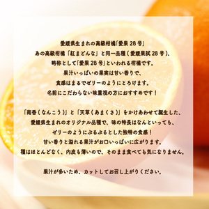 【先行予約】 柑橘 愛果28号 (優品) 約1.8kg 4-9玉 / L-4L | みかんみかんみかんみかんみかん 【KK321】