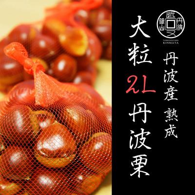 ふるさと納税 丹波篠山市 丹波篠山産熟成丹波栗 L以上混在 1kg