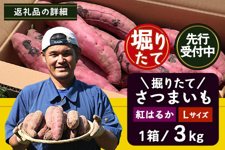 【先行予約】【鹿児島県産 】さつまいも 紅はるか 堀りたて 3kg ( 1箱 ) Lサイズ 新物 