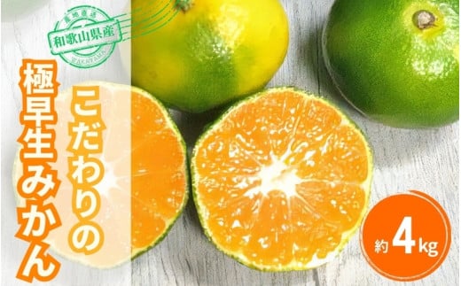 【2026年秋・発送分！】＼光センサー選別／ こだわりの 極早生 みかん 約4kg 【数量限定】 有機質肥料100% サイズ混合 ※2026年9月下旬より順次発送予定（お届け日指定不可） / みかん ミカン 和歌山県 柑橘 早生 甘い 蜜柑 フルーツ 果物 くだもの 食品  産地直送 【nuk171A】