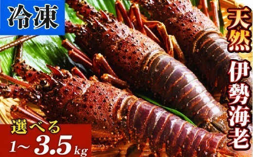 
                  冷凍 伊勢海老 1kg ~ 3.5kg 数量限定 訳ありも選べる 高級 鮮魚 海鮮 魚介 縁起物 焼き物 汁物 年末 年始 ギフト 贈答 贈り物 お祝い 歳暮 お歳暮 えび エビ 海老 イセエビ 伊勢エビ 伊勢海老 伊勢えび いせえび 規格外 訳あり 訳アリ 1.0kg 1.5kg 3.5kg 特大 3万円 5万円 10万円 三万円 五万円 十万円 50000円
                