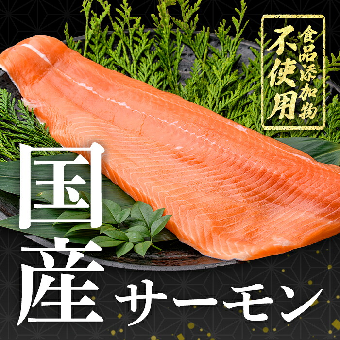 小山町産 アトランティックサーモン (冷凍) 和風セット ｜ サーモン アトランティックサーモン アトランティック 国産 鮭 刺身 魚介 海鮮 海鮮丼 漬け 漬け丼 塩麹 西京漬け 西京焼き 詰合せ 