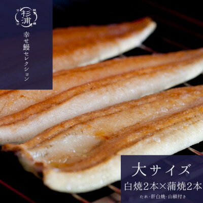 【ふるさと納税】【1本210g以上】遠州杉浦うなぎMセット　白焼2本+蒲焼2本(880-980g)+肝白焼+タレ【配送不可地域：離島】【1612730】