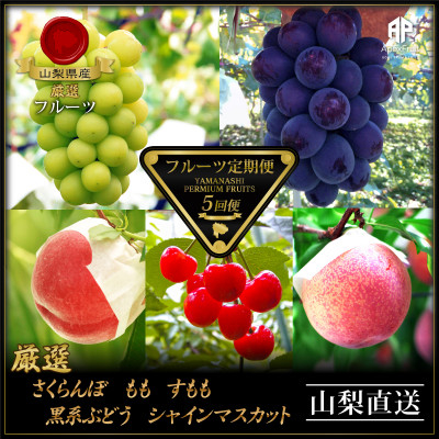 
            ＜発送月固定定期便＞フルーツ定期便全5回【4066763】
          