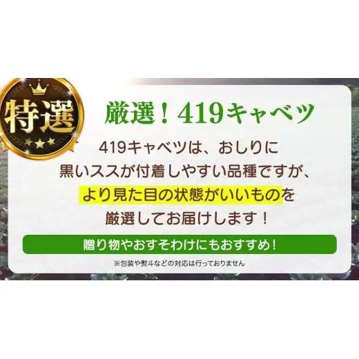 ＜レビューキャンペーン開催中＞＜7月中旬発送開始＞ 【 特選 】 まぼろしの419キャベツ 2玉 [AL020tu]