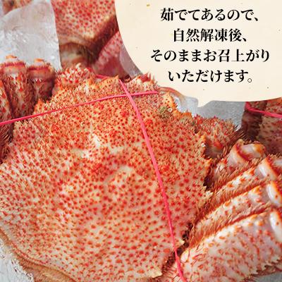 ふるさと納税 北見市 オホーツク海産　浜茹で毛ガニ　約420g〜480g×1杯 |  | 02