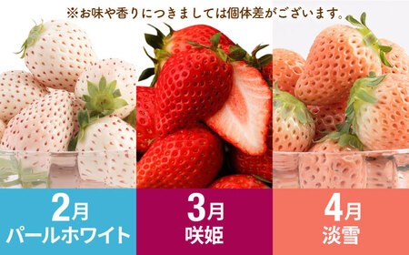 【R8年2月以降発送】【先行予約】【全6回定期便】赤白いちご3種と佐賀産和牛のセット / いちご 牛肉[IZZ023]