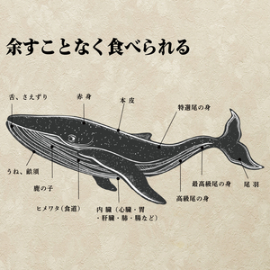 鯨赤身 ブロック 1kg 鯨 FG044