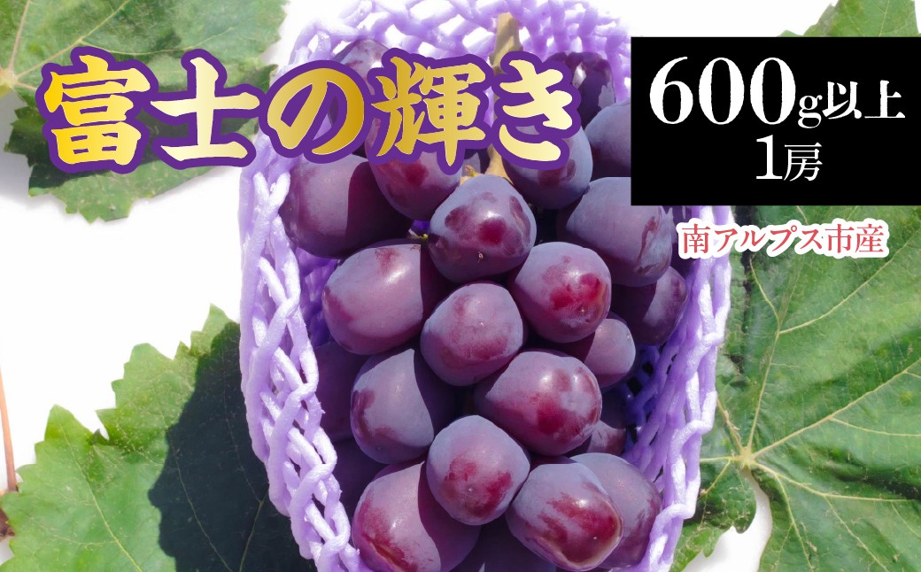 
                  【2026年発送先行予約】南アルプス市産　富士の輝き1房(600g以上) ALPDD021　|  |
                