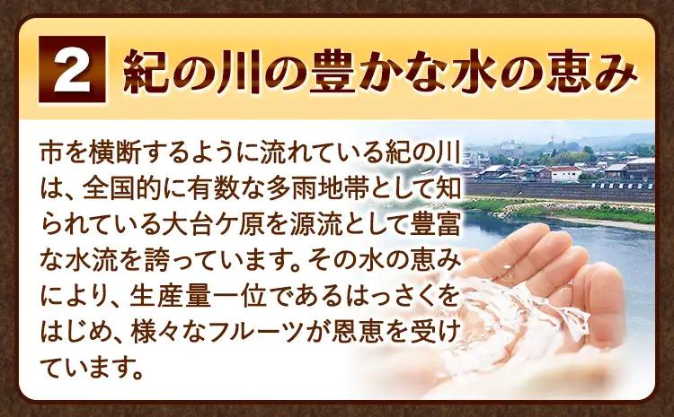 ご家庭用はっさく八朔約10kg