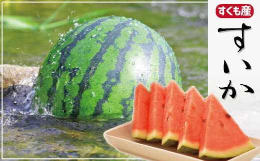 【数量限定・先行受付】すいか 1玉 宿毛産 スイカ フルーツ 果物 夏季限定 夏 贈り物 厳選 大玉 農家直送 地域支援 ふるさと納税 返礼品 自然の恵み 美味しい 甘い 新鮮 冷やして 食べごろ 夏バテ対策 水分補給 ビタミン豊富 スイーツ代わり デザート 食卓 家族団らん 夏の思い出 食品店推奨 50年の実績