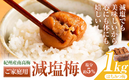 【ふるなびWEEK対象】紀州産南高梅 ご家庭用 減塩 はちみつ梅 1kg 塩分約5% 株式会社 東乃匠《30日以内に出荷(土日祝除く)》 和歌山県 日高川町 紀州南高梅 はちみつ 梅干し FN-Limited