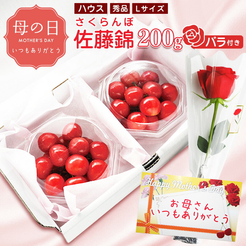 【ふるさと納税】【先行予約】母の日《温室栽培》さくらんぼ 「 佐藤錦 」秀品 Lサイズ 200g（100g×2パック）バラ付き（生花）令和8年産 山形県産 【2026年5月7日・8日・9日 発送予定】 ※配送不可 沖縄・離島 期間限定 母の日 バラ プレゼント