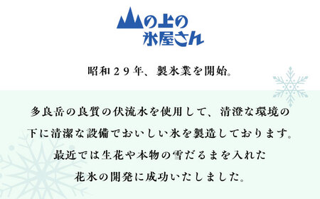 雪だるま 氷 (12cm×12cm×25cm) 約4kg インテリア プレゼント ギフト 大村市 大村製氷[ACAB137]