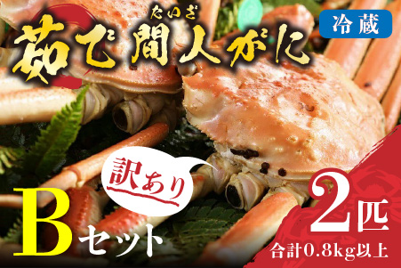 （訳あり）茹で間人がに 2匹 Bセット　11/22～12/21発送予定