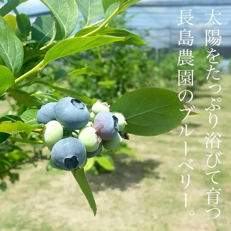 ブルーベリージャム 3本 ジャム ブルーベリー 国産 茨城県産 [AK006sa]