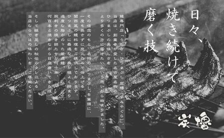 うなぎ 蒲焼き 2尾 【FU02W】 国産 小分け