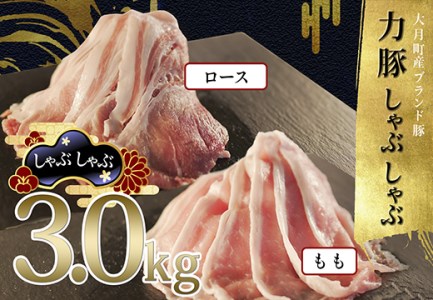 【国産】力豚 豚肉 もも ロース しゃぶしゃぶ 2種 3kgセット 小分け ブランド豚 豚しゃぶ 鍋