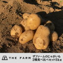 【ふるさと納税】ザファームのじゃがいも2種食べ比べセット5kg【先行予約品・返礼品の発送は2025年6月1日以降】【配送不可地域：離島・沖縄県】【1462445】