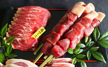 猪BBQセット 6～7人前(猪スライス150g×4パック/猪串75g×5本)　日田市 / 株式会社tracks[ARDE001]