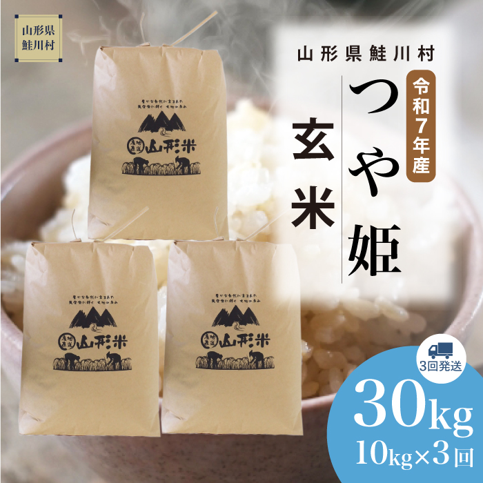 ＜令和7年産米＞ 特別栽培米 つや姫 【玄米】30kg 定期便 (10kg×3回) 　《配送時期指定可》