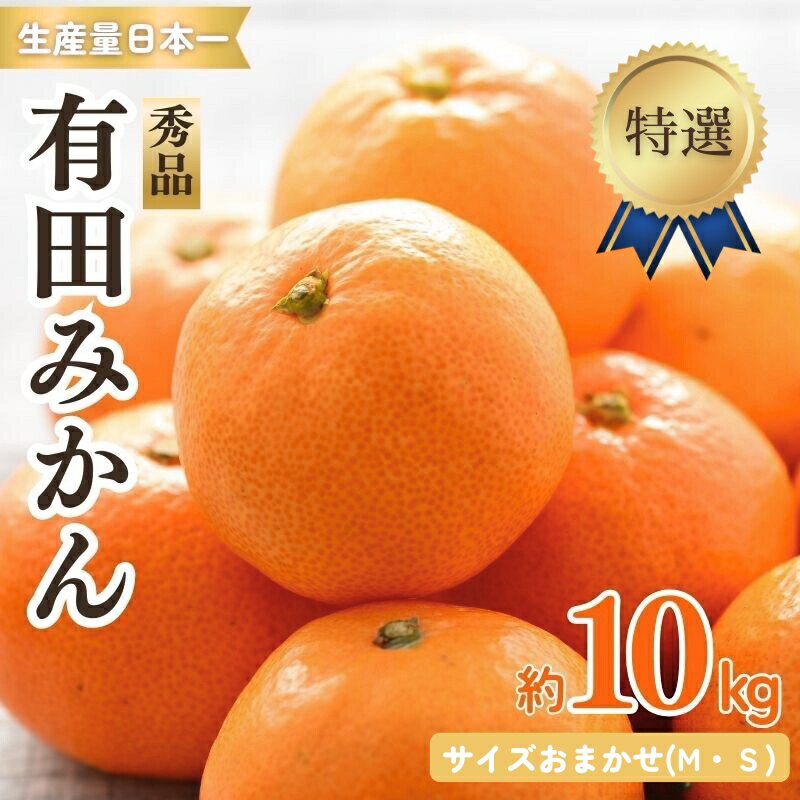 【ふるさと納税】特選紀州有田みかん 秀品 約10kg サイズおまかせ(М・S) | ※2025年12月上旬～下旬頃発送予定 | みかん ミカン 和歌山 由良 おまかせ フルーツ 果物 柑橘 和歌山県産 お取り寄せ ふるさと納税 返礼品