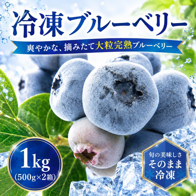 【ふるさと納税】 先行予約 大粒 ブルーベリー 1kg(500g×2) 冷凍 詰め合わせ 8月以降発送 完熟 果汁 人気 果物 果実 フルーツ 国産 産地直送 お取り寄せ 贈り物 贈答 贈答用 ギフト プレゼント 贈り物 お中元 旬 岩手県 盛岡市 東北 岩手 盛岡 北田りんご園 kitada001